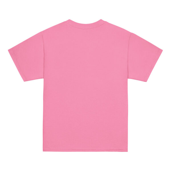 youth-classic-tee-azalea-back-6a7a095c0c879.jpg The Aero Pig™ Youth Classic Tee
