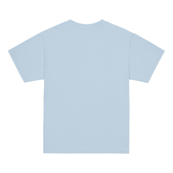 youth-classic-tee-light-blue-back-6a7a095c0ca0d.jpg The Aero Pig™ Youth Classic Tee