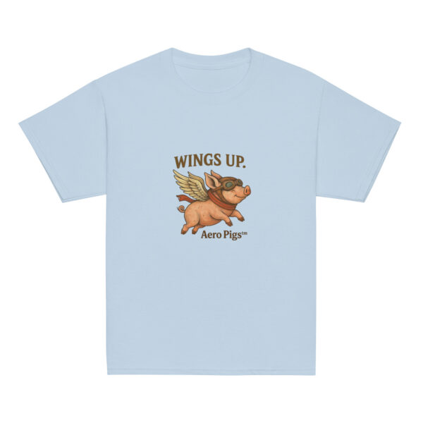 youth-classic-tee-light-blue-front-6a7a095c0c3fc.jpg The Aero Pig™ Youth Classic Tee