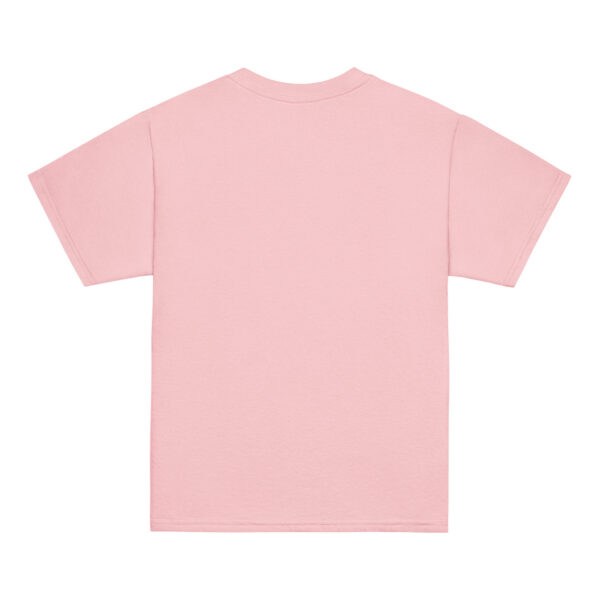 youth-classic-tee-light-pink-back-6a7a095c0c9e9.jpg The Aero Pig™ Youth Classic Tee