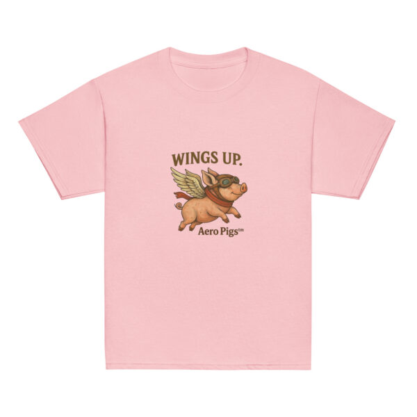 youth-classic-tee-light-pink-front-6a7a095c0c3d3.jpg The Aero Pig™ Youth Classic Tee