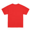 youth-classic-tee-red-back-6a7a095c0c97b.jpg The Aero Pig™ Youth Classic Tee